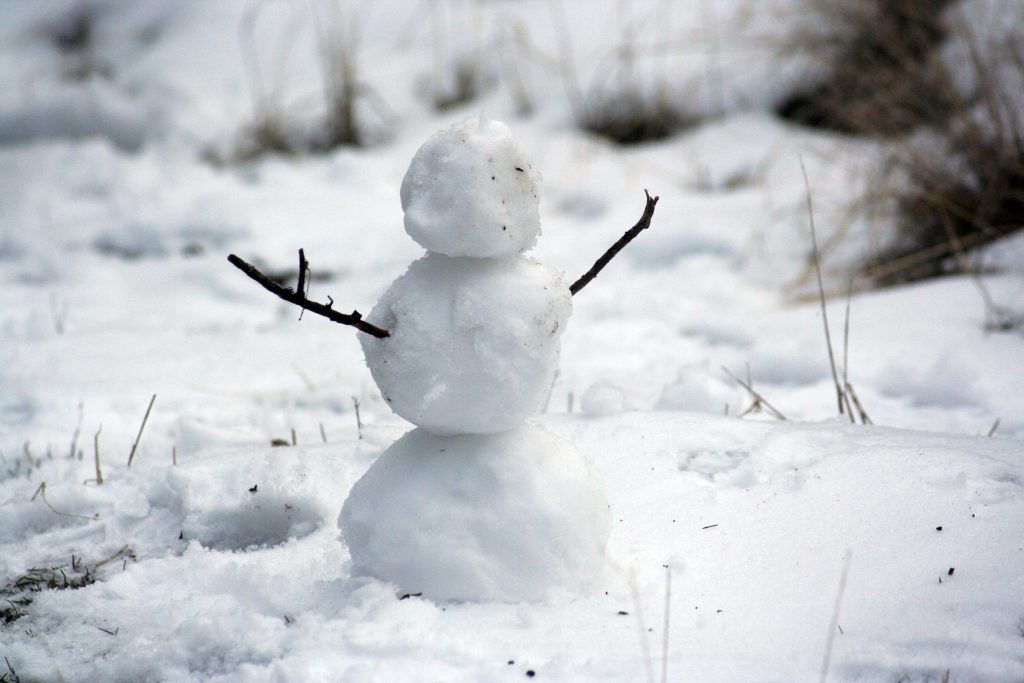 snowman cold cooler management at burning man
