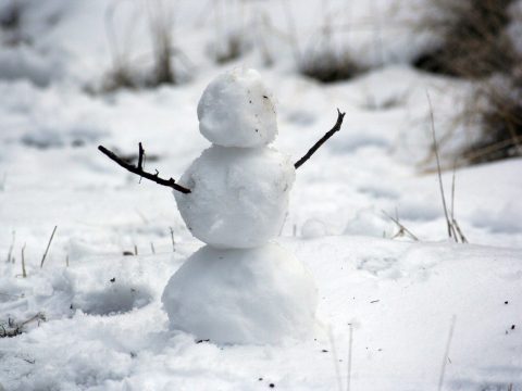 snowman cold cooler management at burning man